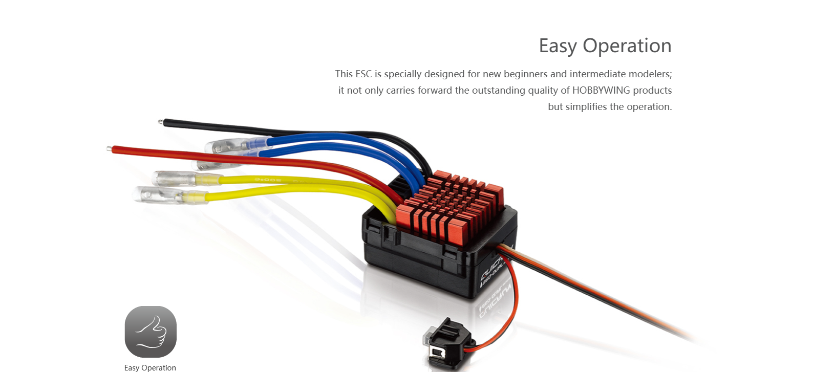Hobbywing QuicRun 0880-Dual-Br - Esc Waterproof 60A recensione e prezzo
